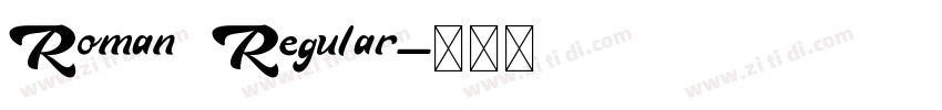 Roman Regular字体转换